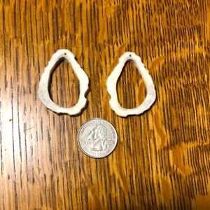 Antler Earrings